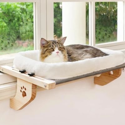 Hamac pour Chat fenêtre confort et tranquillité 