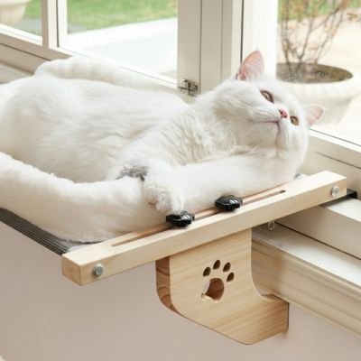 Hamac pour Chat fenêtre pour des petits chats à des chats de 24 kg maximum