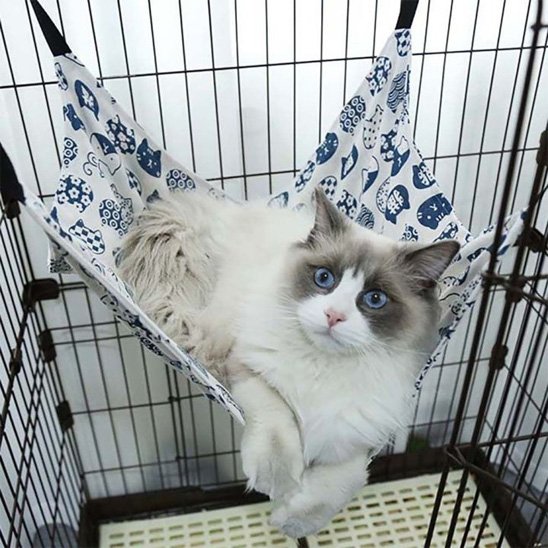 hamac pour chat fixassions pas mousquetons 