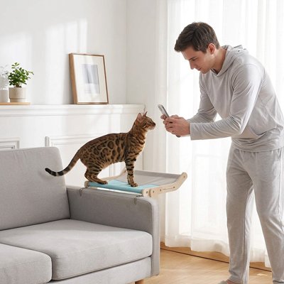 Hamac pour Chat se position sur un lit une table ou canapé