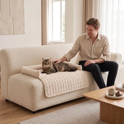 homme caresse le chat sur la Protection canapé Chat crème 
