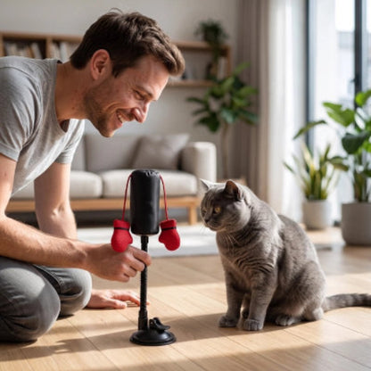 homme présente Jouet Chat gants et sac au chat
