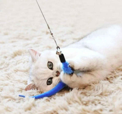 Idée cadeau pour chat  queue de rat