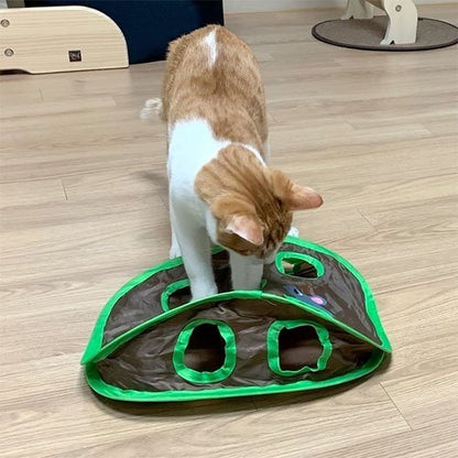 Jeu chat en forme de carapace de tortue | Interactif chajoue - Chatjoue