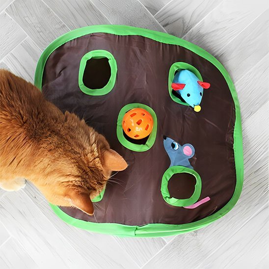 Jeu chat en forme de carapace de tortue | Interactif chajoue - Chatjoue