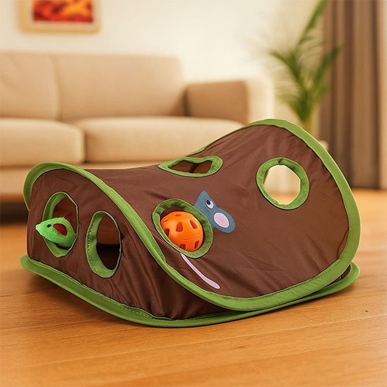 Jeu chat en forme de carapace de tortue | Interactif chajoue - Chatjoue