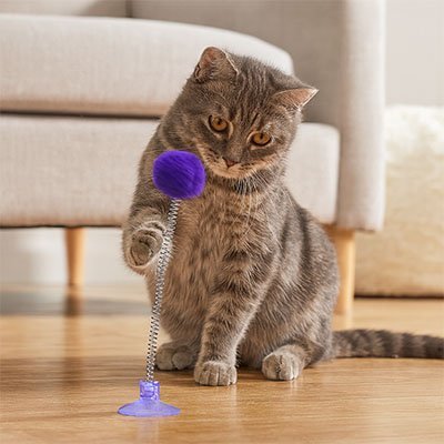 Jeu Chat une ressort et un pompon | FélinActive - Chatjoue