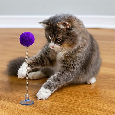 Jeu Chat une ressort et un pompon | FélinActive - Chatjoue
