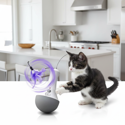 Jeu interactif cuisine