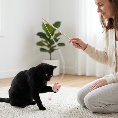Jeu pour Chat avec un lapin