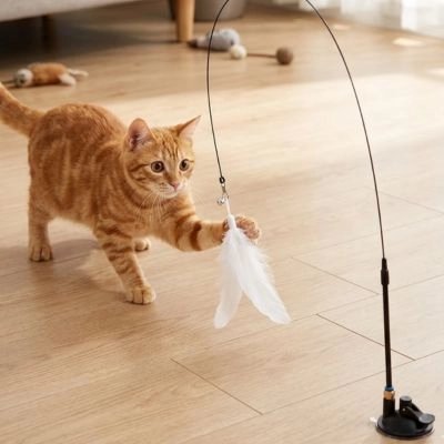 Jeu pour Chat baguette avec tête interchangeable 