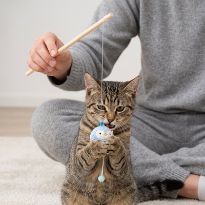 Jeu pour Chat baguette de 40 cm en bois