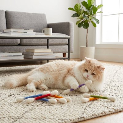 Jeu pour Chat de couleur ou blanc