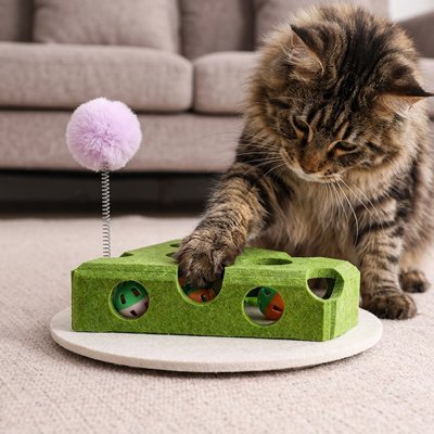 Jeu pour chat en forme triangulaire vert