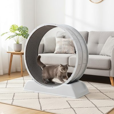 Roue d'Exercice Interactive pour Chat - Jeu Stimulant Anti - Ennui - Chatjoue