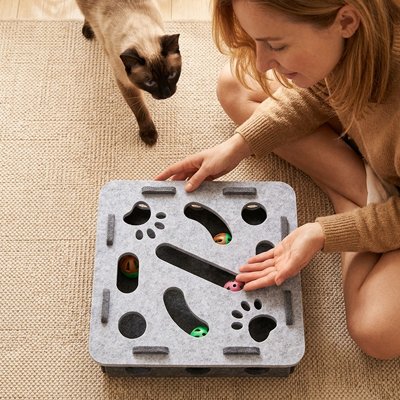 Jeu pour chat plusieurs trous pour plus de jeux