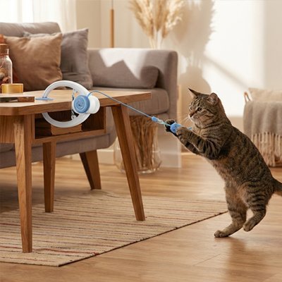 Jeu pour Chat potence avec sa souris Interactif | Féliactiv - chatjoue - Chatjoue
