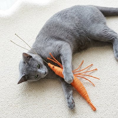 Jeux pour Chat en forme de crevette