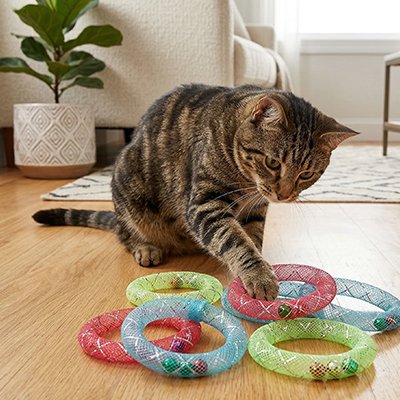 Jeux pour Chat en lot de 6