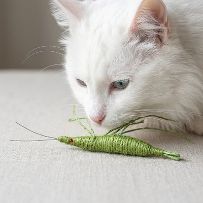 Jeux pour Chat en vert