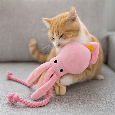 Jeux pour Chat une pieuvre rose et douce| FéliStim - Chatjoue