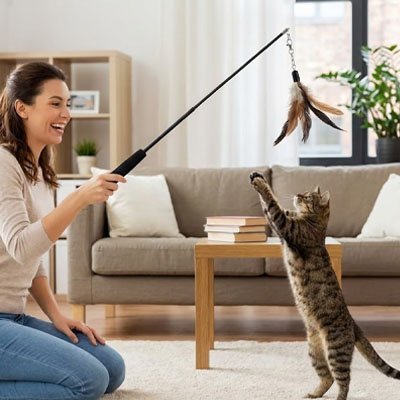 Baguette Télescopique Chat Interactif | Jeu Stimulation Mentale | Chatjoue - Chatjoue