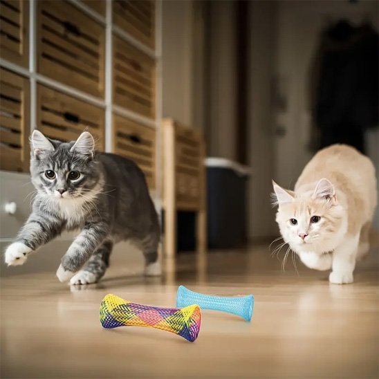Jouet chat tube en plastique pliable | Inter  Play  Chatjoue