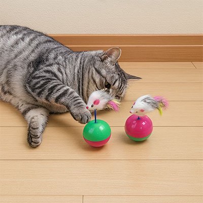 Jouet chat balle à basculement de 180° | Interactif Félin - Chatjoue