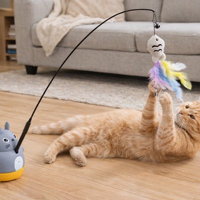 jouet Chat avec des plumes et poisson au bout