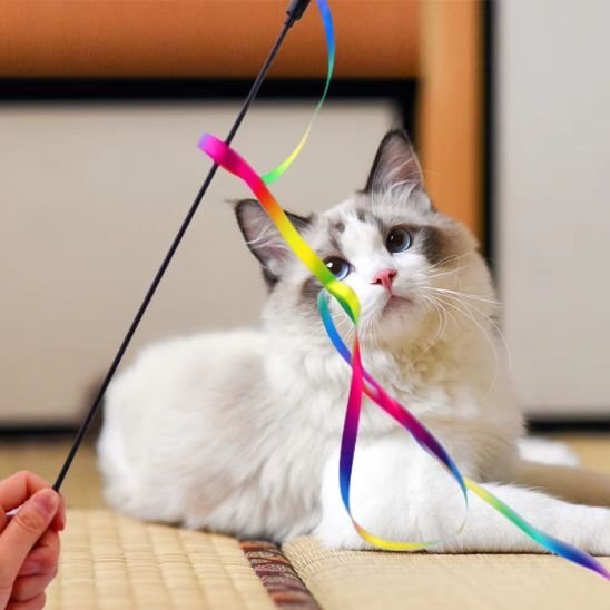 Jouet chat super baguette multicolore | tourbillon - chatjoue - Chatjoue