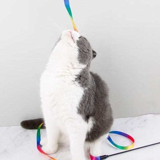 Jouet chat super baguette multicolore | tourbillon - chatjoue - Chatjoue