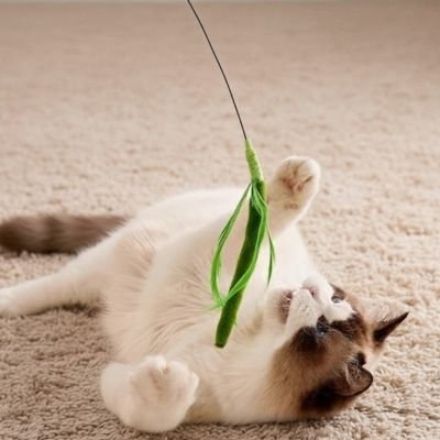 Jouet chat baguette verte