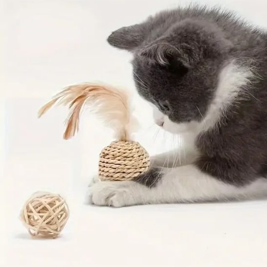 Balles en Rotin pour Chat - Jouet Interactif Rouleplume | Chatjoue - Chatjoue