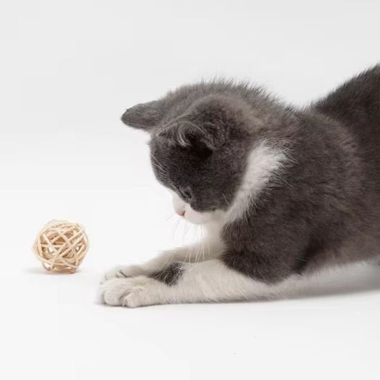 Balles en Rotin pour Chat - Jouet Interactif Rouleplume | Chatjoue - Chatjoue