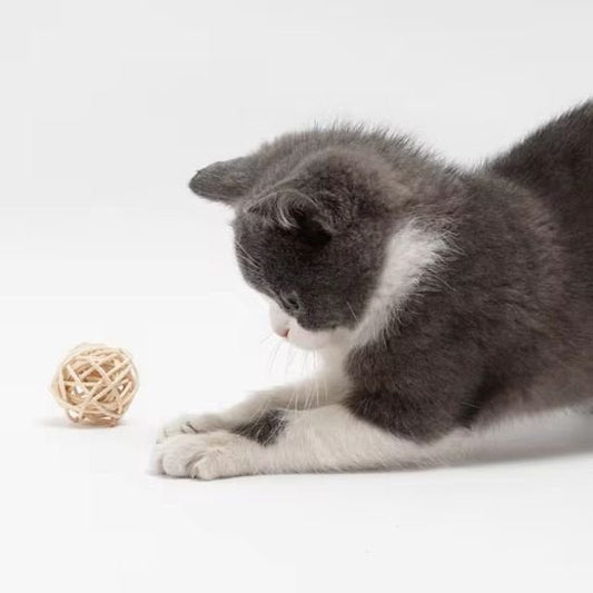 Balles en Rotin pour Chat - Jouet Interactif Rouleplume | Chatjoue - Chatjoue