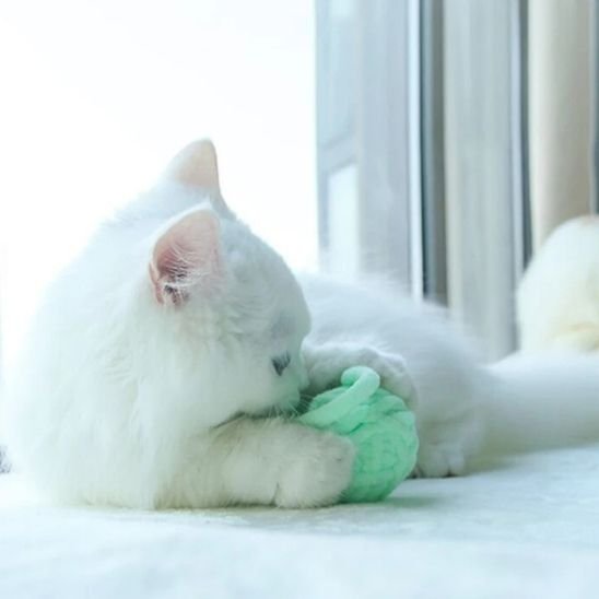 Jouet chat balle fils de couleurs vives | Interactif Félin - Chatjoue