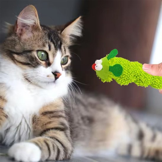 Jouet chat chenille verte | chanille chatjoue - Chatjoue