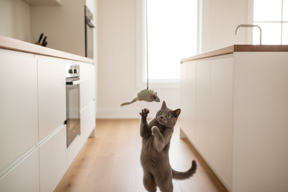 Jouet chat cuisine