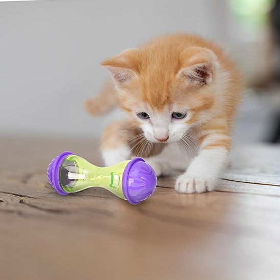Jouet Chat Interactif Bol à Friandises - Stimulation Mentale - Chatjoue - Chatjoue