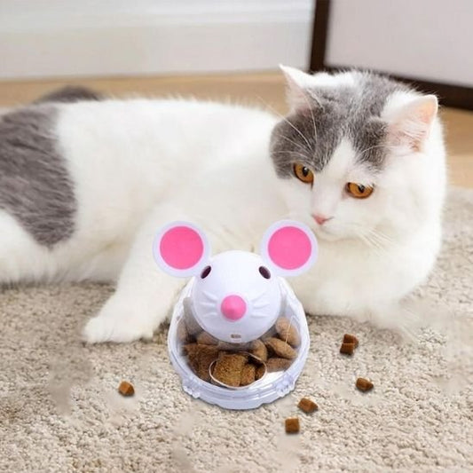 Jouet chat interactif apprentissage à la nourriture | FeliChasse - chatjoue - Chatjoue