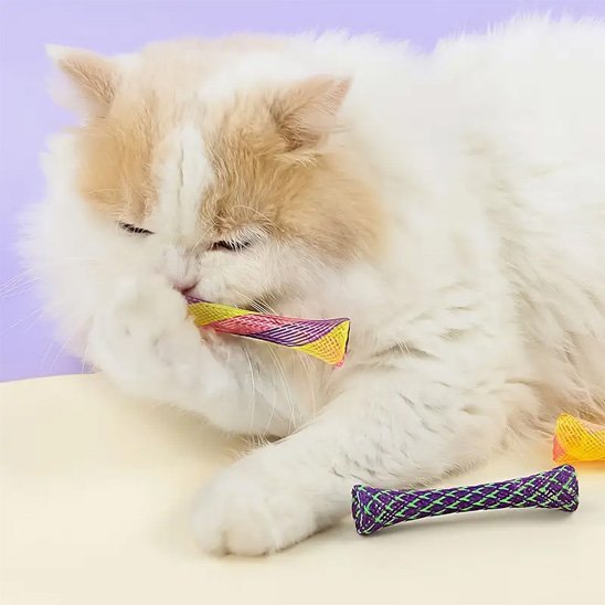 Jouet chat tube en plastique pliable | Inter  Play Chatjoue