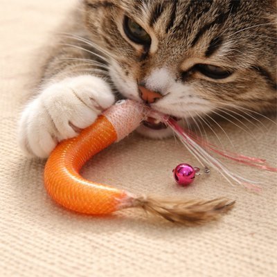 Jouet Chat crevette Interactive | InstFélin - chatjoue - Chatjoue