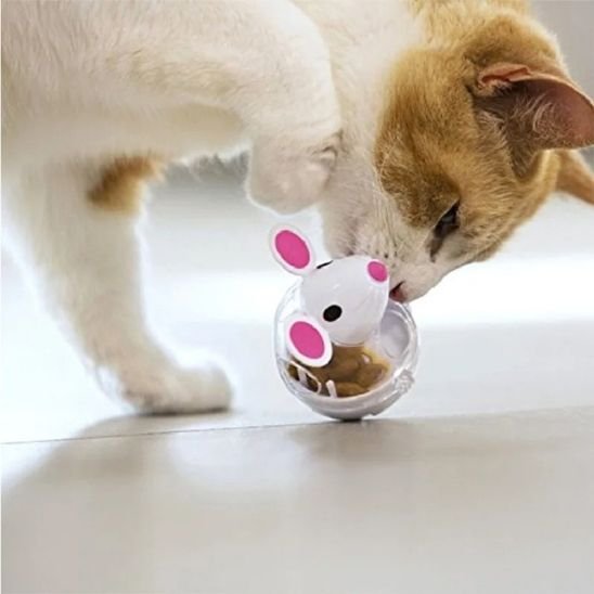 Jouet chat interactif apprentissage à la nourriture | FeliChasse - chatjoue - Chatjoue