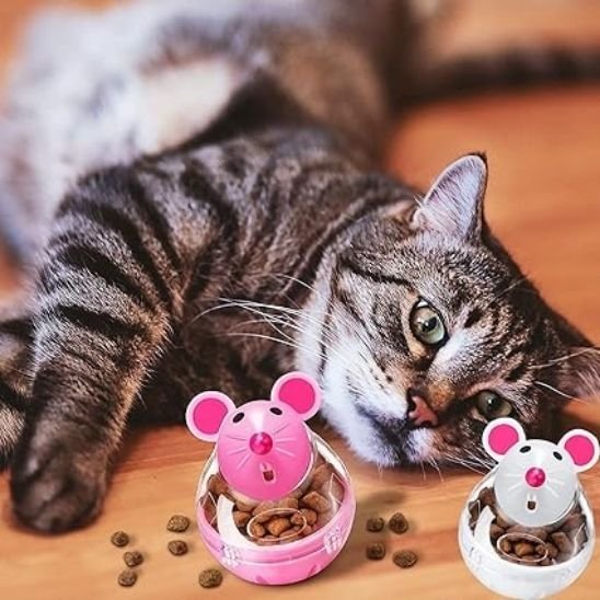 Jouet chat interactif apprentissage à la nourriture | FeliChasse - chatjoue - Chatjoue