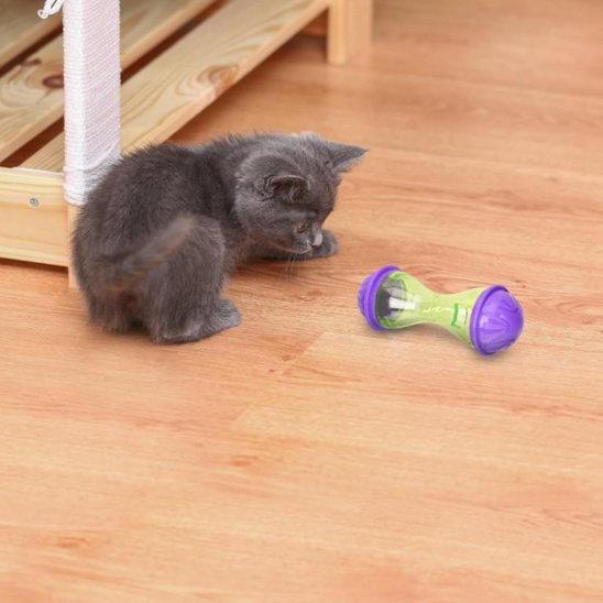 Jouet Chat Interactif Bol à Friandises - Stimulation Mentale - Chatjoue - Chatjoue