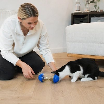Jouet Chat il est idéal pour tous les chats