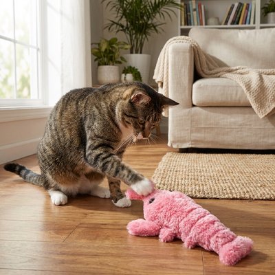 Jouet Chat interactif 1 orange