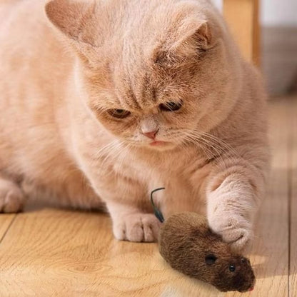 Jouet chat interactif petite souris à remonter - Chatjoue
