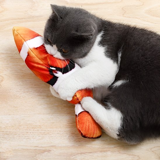 Jouet chat interactif poisson réaliste - Chatjoue