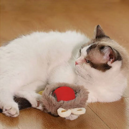 Jouet chat interactif balle de course - Chatjoue
